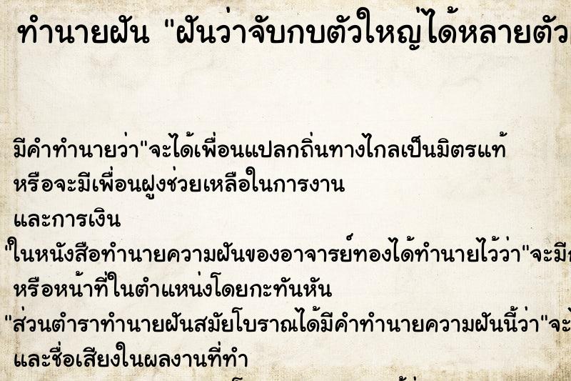 ทำนายฝันฝันว่าจับกบตัวใหญ่ได้หลายตัว| ทำนายฝันทำนายฝันฝันว่าจับกบตัวใหญ่ได้หลายตัว|